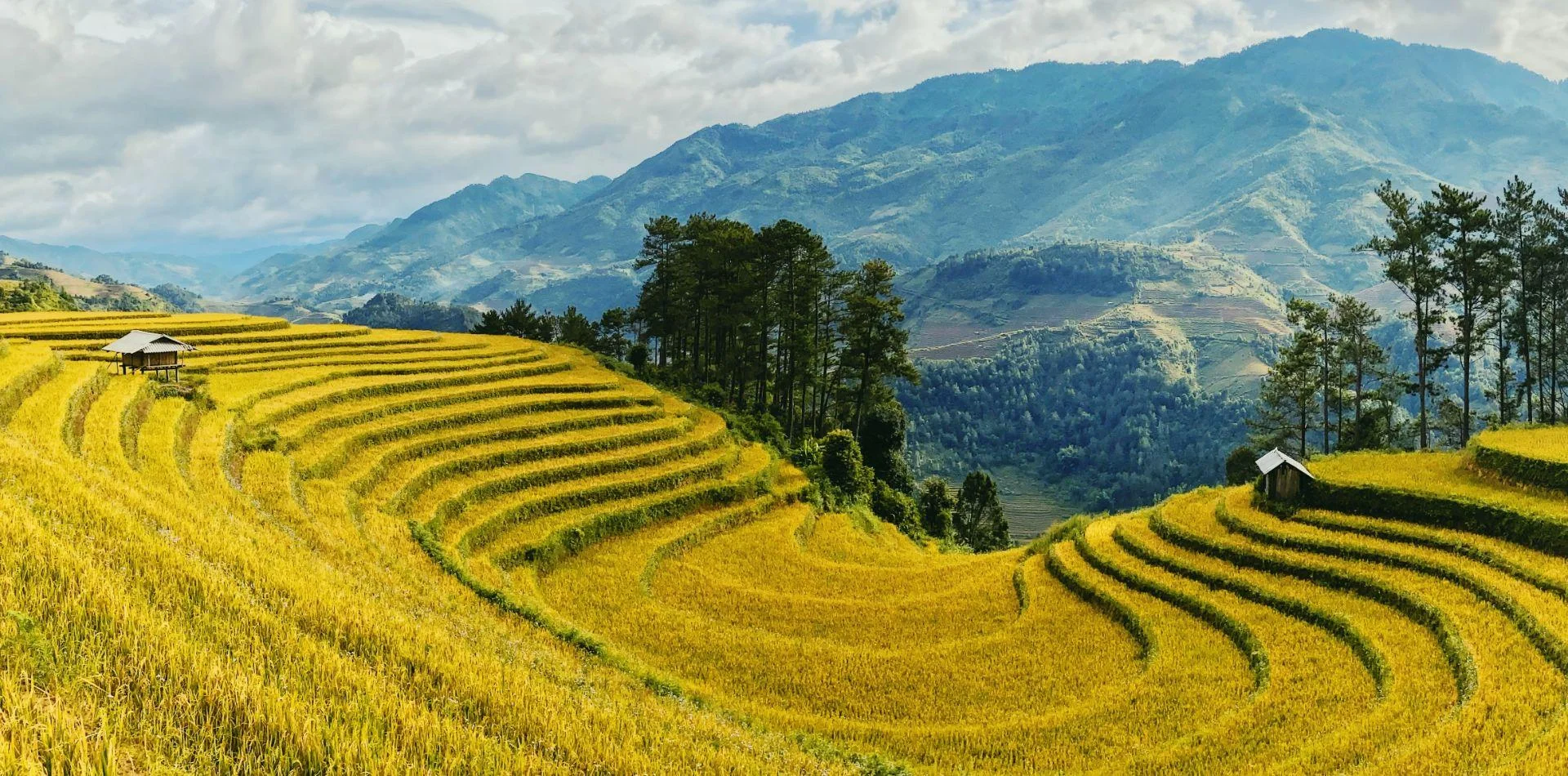 Discover the Authentic Beauty of Vietnam