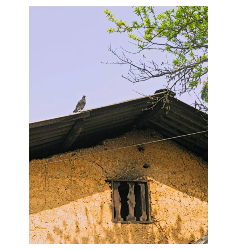 thiet-ke-chua-co-ten-5